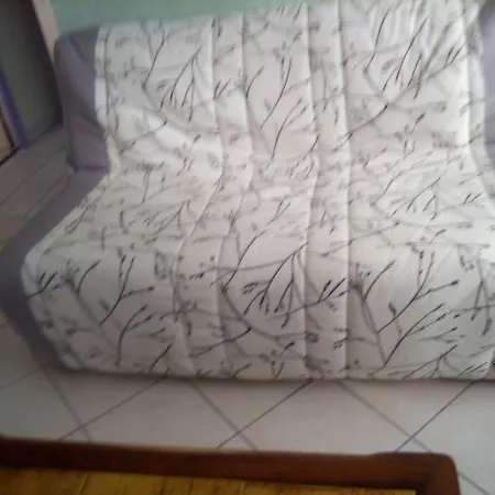 Apartamento T2 Lumineux Chu Stade Gaston Gerard 2 Nuits Minimum *