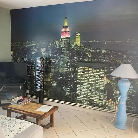 Appartement T2 Lumineux Chu Stade Gaston Gerard 2 Nuits Minimum *