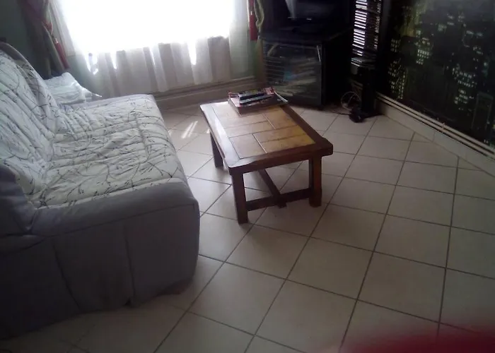 Apartman T2 Lumineux Chu Stade Gaston Gerard 2 Nuits Minimum Dijon