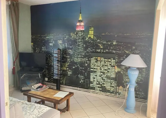 Apartman T2 Lumineux Chu Stade Gaston Gerard 2 Nuits Minimum *